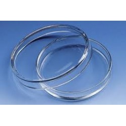 Petri Dish Glass 100x20 Petri Dish Glass 100x20