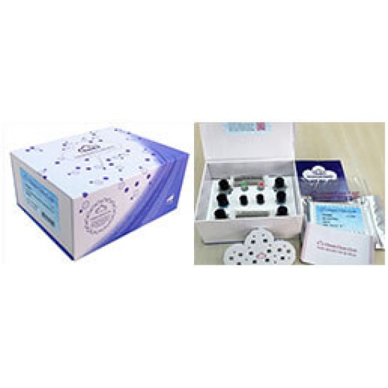 ELISA for Acetylcholinesterase (ACHE) GE 96T ELISA for Acetylcholinesterase (ACHE) GE 96T