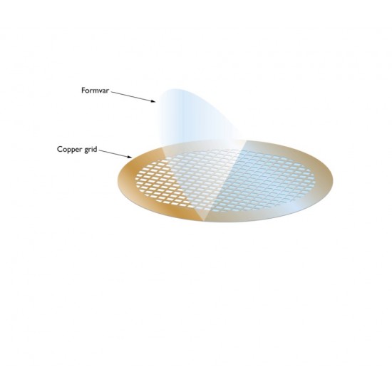 Formvar Support Film, Slot Grid, 2x mm, 5-6nm, Copper