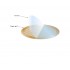 Formvar Support Film, Slot Grid, 2x mm, 5-6nm, Copper