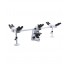 Trinocular discussion microscope, 5-head, 1000x, IOS W-PLAN