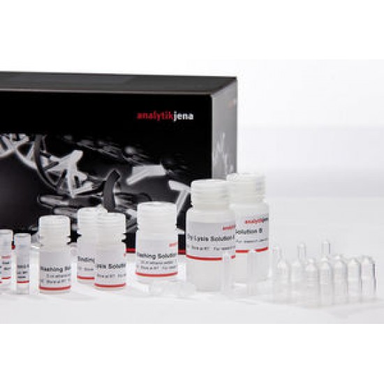 smart Blood DNA Midi, prep (a96) - FX  5 x 96 reactions