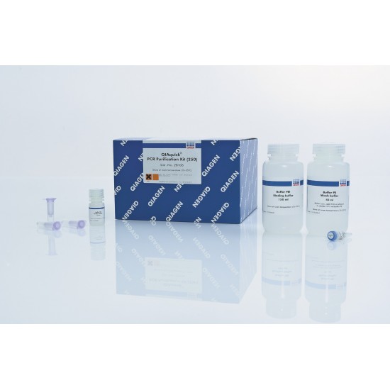 QIAquick PCR Purification Kit (250) QIAquick PCR Purification Kit (250)