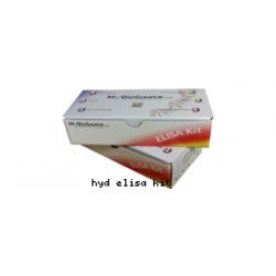 Testosterone 17-Beta-Dehydrogenase 3 ELISA Kit (48 strips) Testosterone 17-Beta-Dehydrogenase 3 ELISA Kit (48 strips)