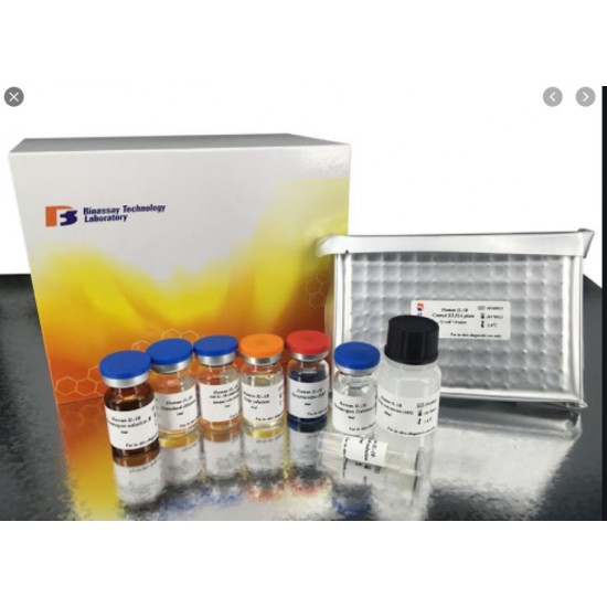 Cortisol ELISA Kit - Size 96 tests