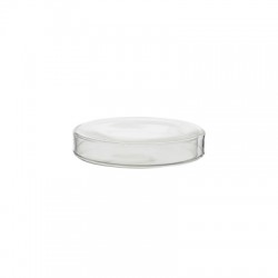 Glass Petri dish (100*20)
