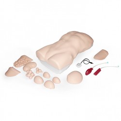 Abdominal Examination Trainer Abdominal Examination Trainer