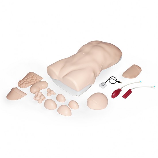 ABDOMINAL EXAMINATION TRAINER ABDOMINAL EXAMINATION TRAINER