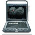 Vet Ultrasound