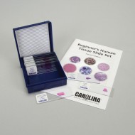 Beginner's Human Tissue Microscope Slide Set (15 Set) Beginner's Human Tissue Microscope Slide Set (15 Set)