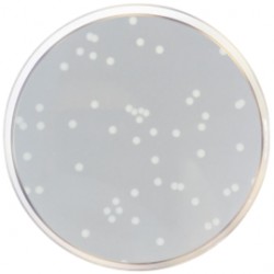 Nutrient Agar ISO , 500 G Nutrient Agar ISO , 500 G