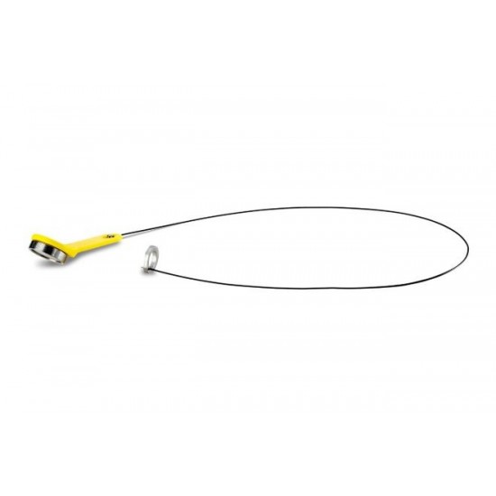 ACQUITY UPLC BEH C18 Column, 130Å, 1.7 µm, 2.1 mm X 50 mm