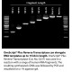 OneScript Plus cDNA Synthesis Kit , 100 rxn OneScript Plus cDNA Synthesis Kit , 100 rxn