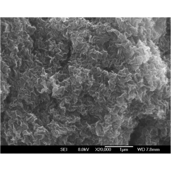 Reduced Graphene Oxide Powder 20 G