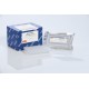 RT2 Profiler PCR Array