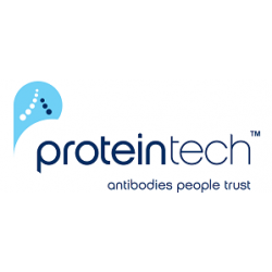 DEC1 Polyclonal antibody DEC1 Polyclonal antibody