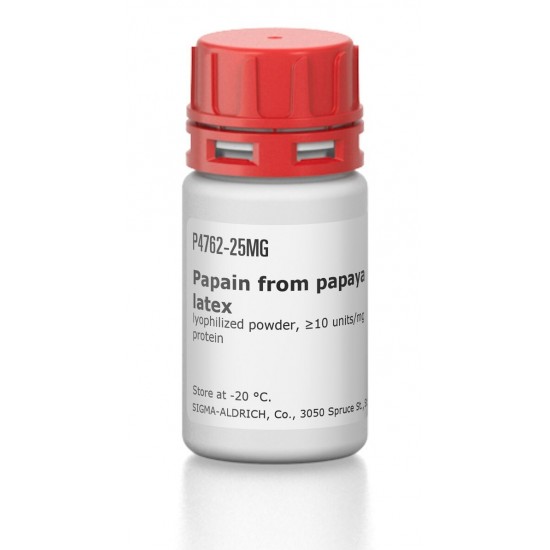 Papain from papaya latex, 25 MG Papain from papaya latex, 25 MG
