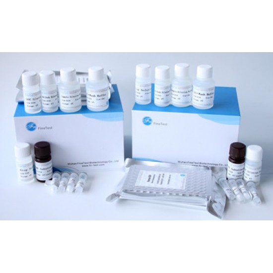 Camel Progesterone(PROG) ELISA Kit