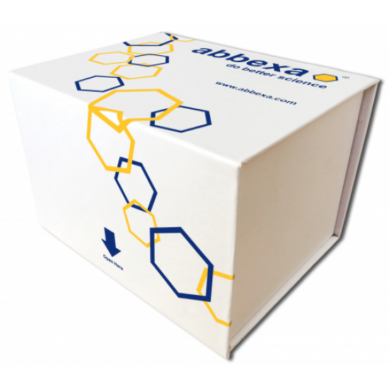 Camel Theileria ELISA Kit 96 T Camel Theileria ELISA Kit 96 T