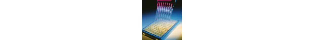 ELISA Kit ELISA Kit