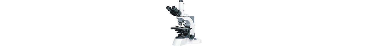 Microscopes Microscopes