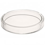 Glass Petri Dish 9Cm Glass Petri Dish 9Cm