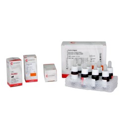 Brucella Positive Control 5ml Brucella Positive Control 5ml