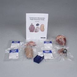 COMP MAMMALIAN ORGAN DISSECTION COMP MAMMALIAN ORGAN DISSECTION