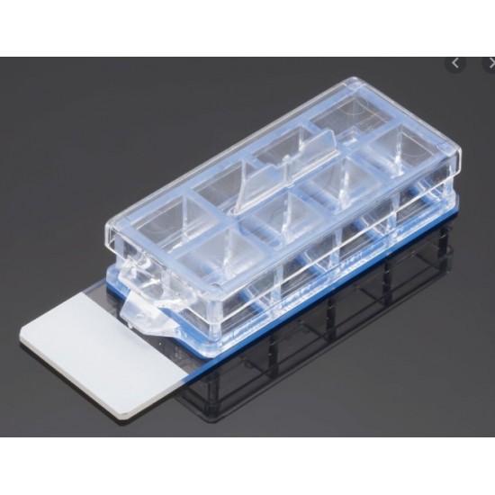 Corning BioCoat Poly-D-Lysine Culture Slides