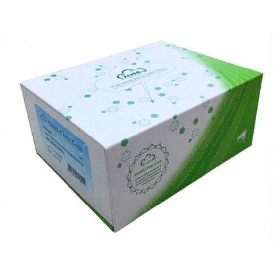 ELISA Kit for Cytochrome C Oxidase Subunit IV Isoform 1 (COX4I1) ELISA Kit for Cytochrome C Oxidase Subunit IV Isoform 1 (COX4I1)