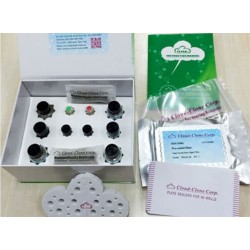 ELISA Kit for Peroxiredoxin 4 (PRDX4) for mice 96T ELISA Kit for Peroxiredoxin 4 (PRDX4) for mice 96T