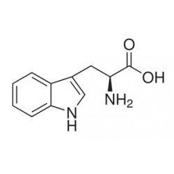 L-TRYPTOPHAN FOR BIOCHEMISTRY 99%( 5GM/BTL) L-TRYPTOPHAN FOR BIOCHEMISTRY 99%( 5GM/BTL)