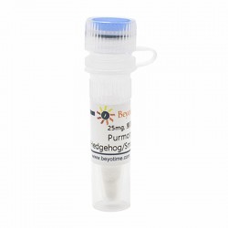 Purmorphamine 25Mg Purmorphamine 25Mg